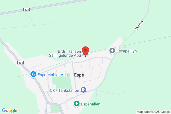 Hansen Frede & Co. Ringe A/S