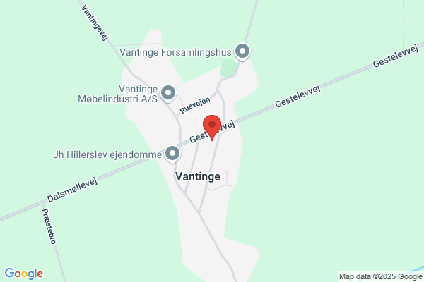 Vantinge Autoværksted Carsten Jervelund