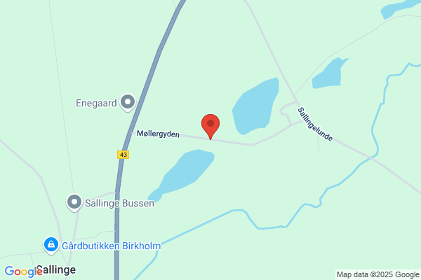 Brødrene Hansen Sallingelunde ApS