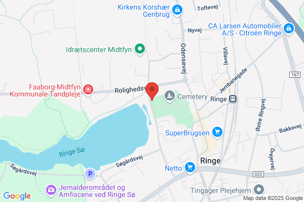 Ringe sogns menighedsråd