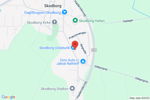 Skodborg Jette