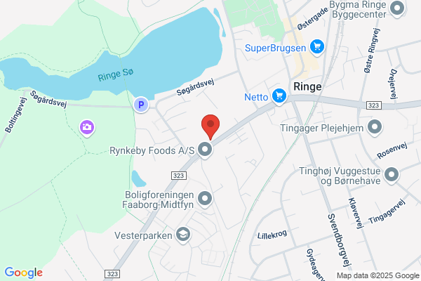 Ringe Kost- Og Realskole
