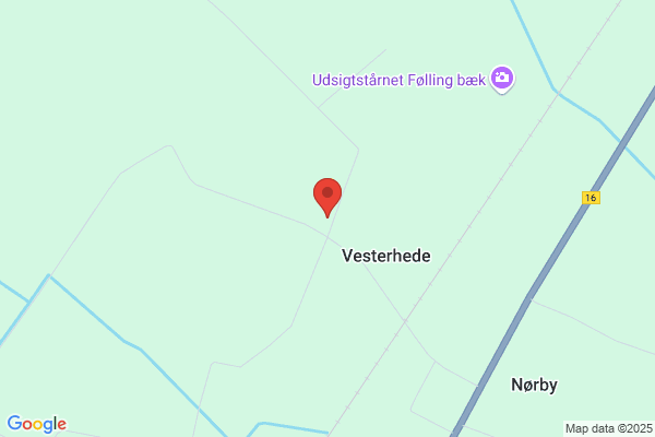 Højgård, Ellen