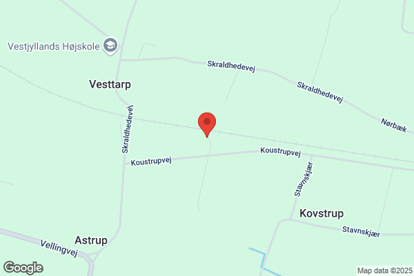 Ringkøbing og Omegns Fugleforening