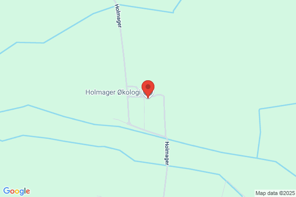 Holm, Bendt