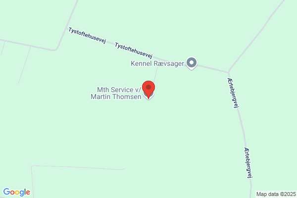 Thomsen, Martin
