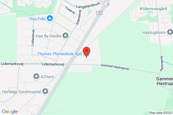 Thyme, Niels