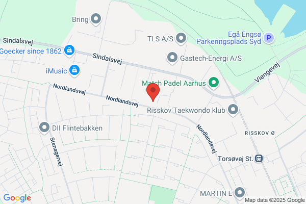 Olesen, Malerfirma Fl.