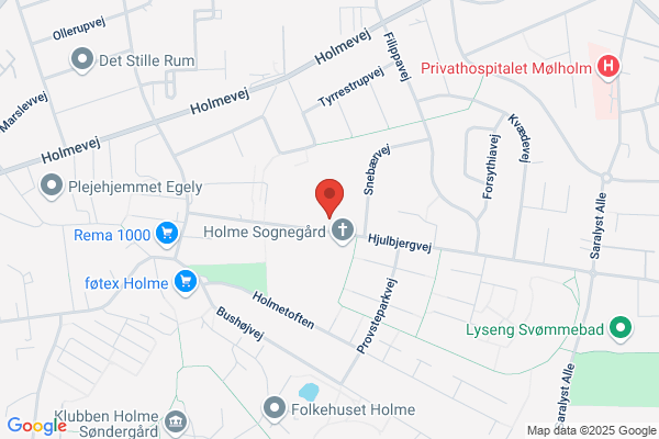 Holme Skoles Skolefritidsordning