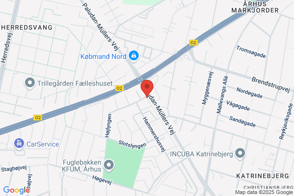 KFUK-Spejderne, De Grønne Pigespejdere, Århus Vest Division