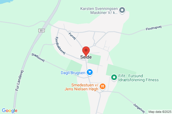 Selde Åsted folkedansere