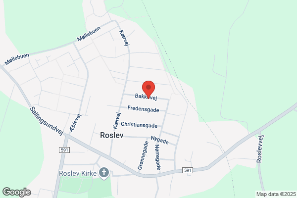 Roslev Ungdomsklub
