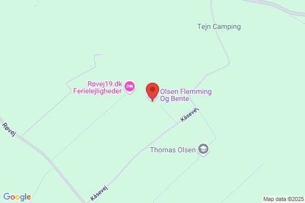 Olsen, Bente