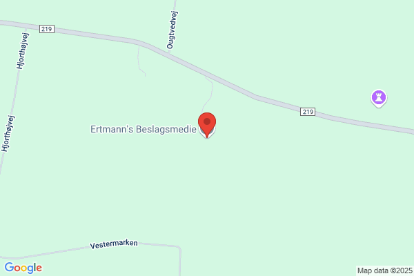 Ertmann's Beslagsmedie