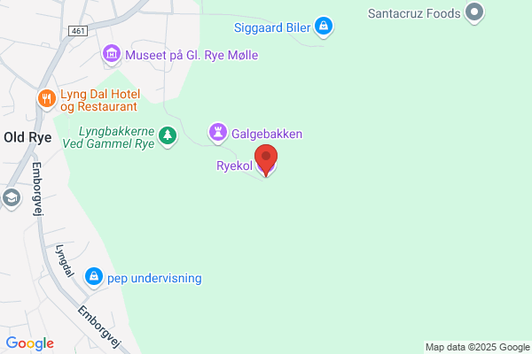 CentrumDemokraterne Ry-Silkeborg, Gjern, Ry og Them
