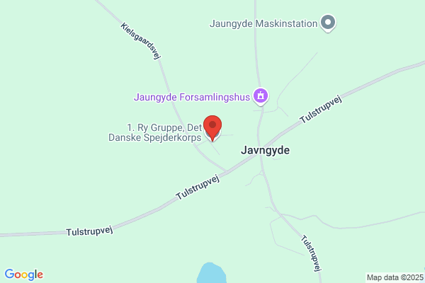 Det Danske Spejderkorps - 1. Ry Gruppe