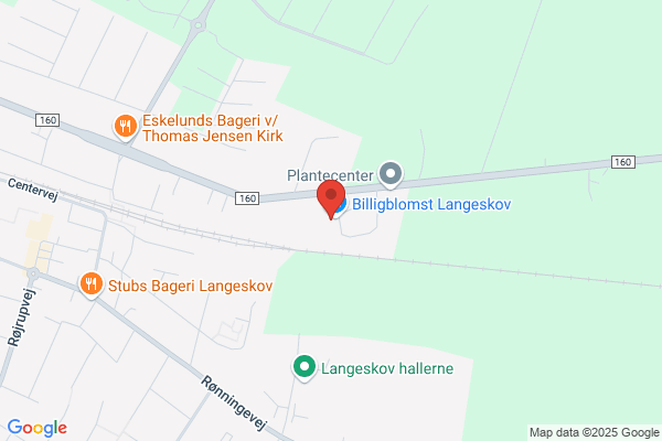 Langeskov Planteskole