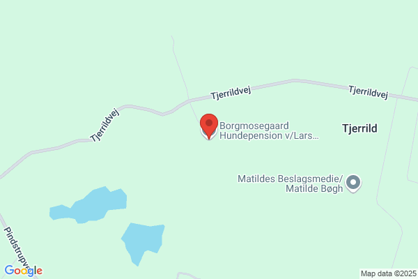 Borgmosegaard Hundepension