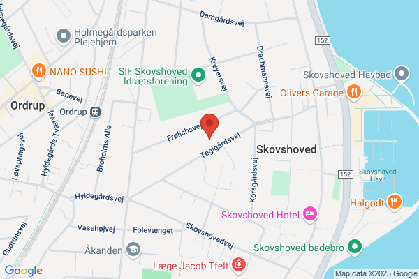Ringsø Data