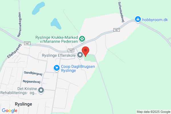 FDF/FPF, Ryslinge