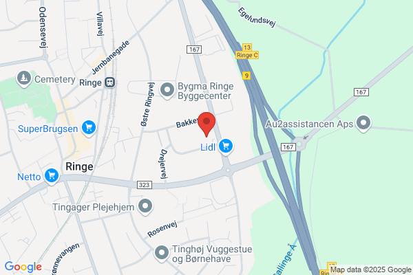Ringe Dyrehospital Stordyrssektionen