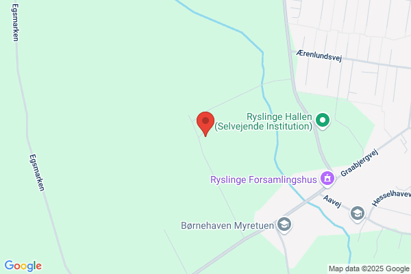 Ældre Sagen For Ringe, Ryslinge og Årslev
