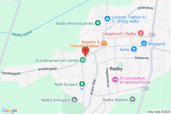 Håndboldklub, Rødby