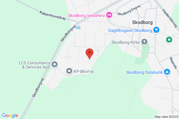 Skodborg Antennelaug