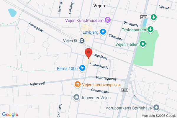 Vejen Snior Club 1995