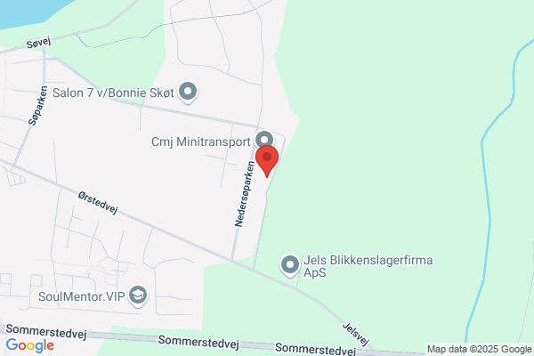 Jels Borgerforening