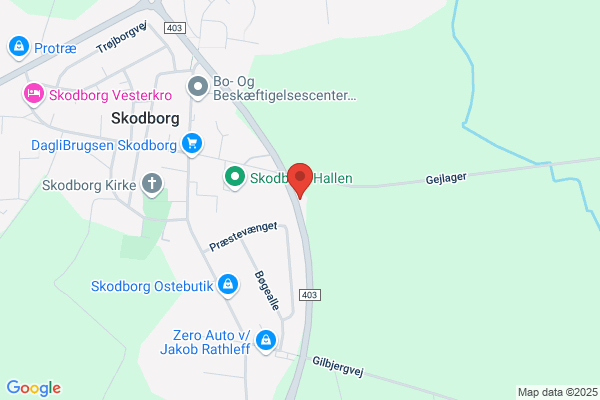 DDH Forening af Aktive Kvinder