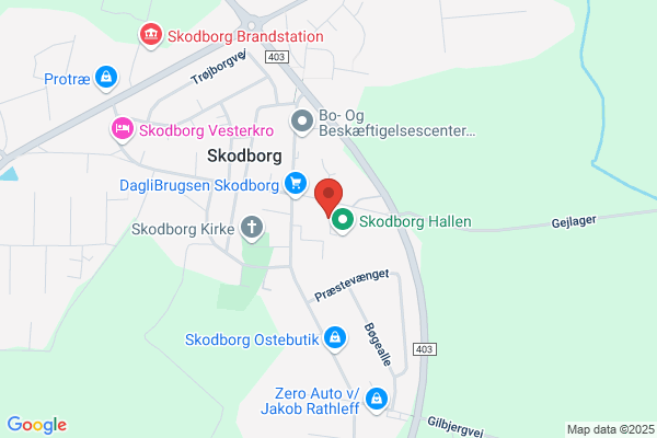 Skodborg Skole