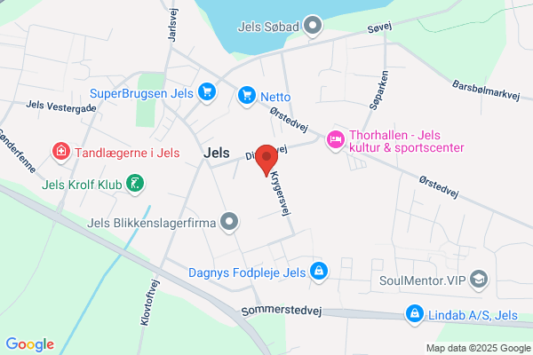 Jels Skole