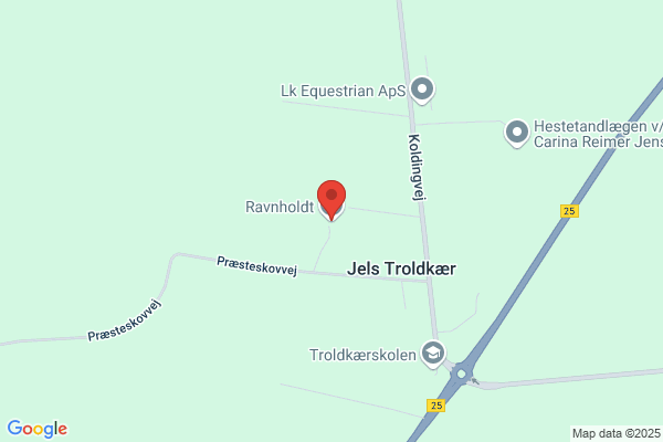 Ravn, Ole
