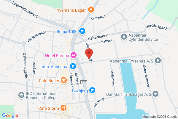Ford i Aabenraa