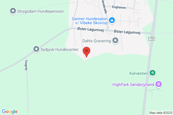 D.D.S. Aabenraa Pigegruppe