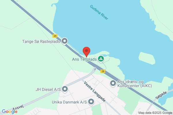 Ans GF, Svømmeafdeling