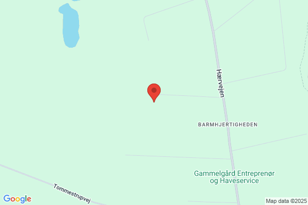 Timm, Carsten