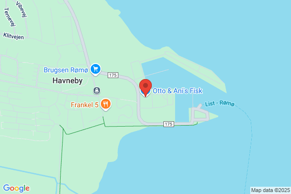 Otto og Anis Fisk