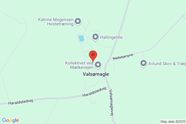 Ældrerådet i Rønne Kommune