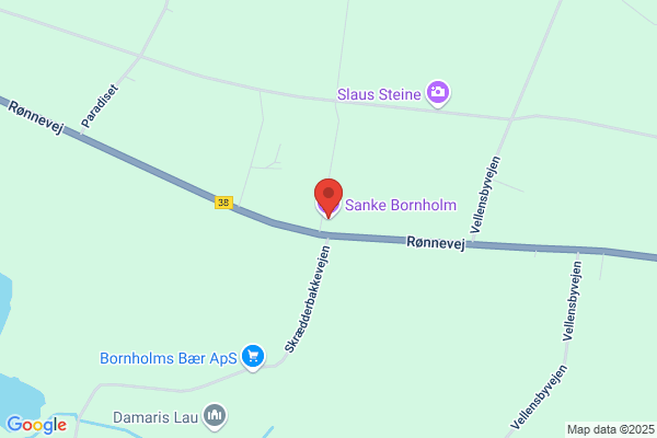 Bornholms Kunstforening