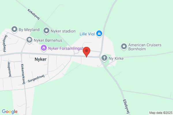 Venstre i Hasle Kommune