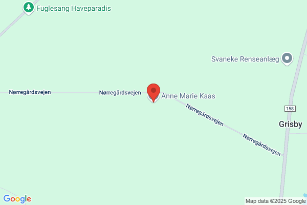 Hartvig, Hanne