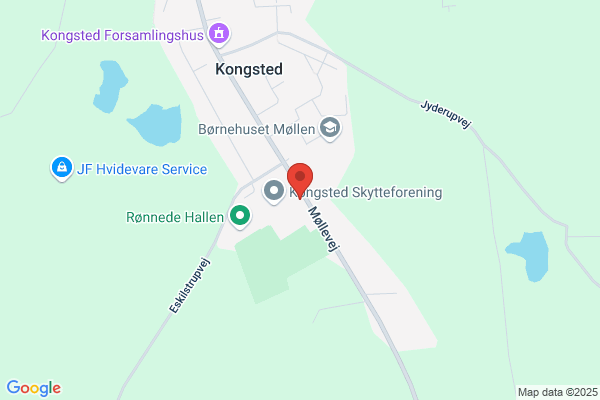 Hvepsereden Møllevangsskolen