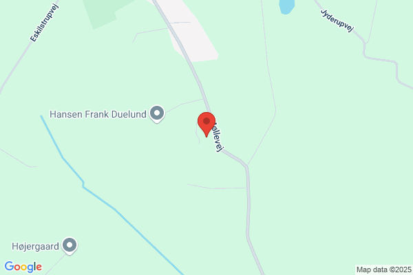 Kongsted Ældrecenter Visitatorer