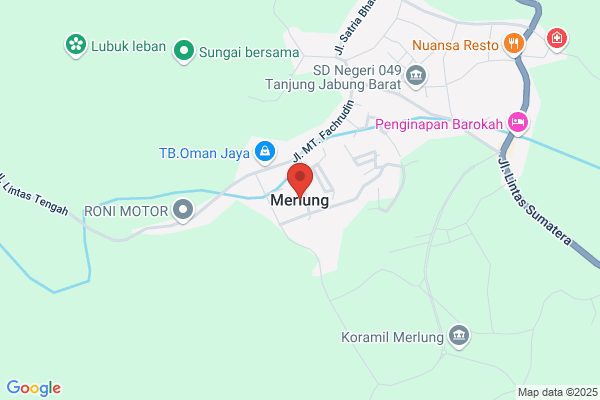 Merlung, Bjørn