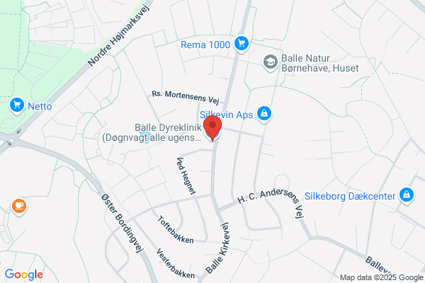 Balle Dyreklinik