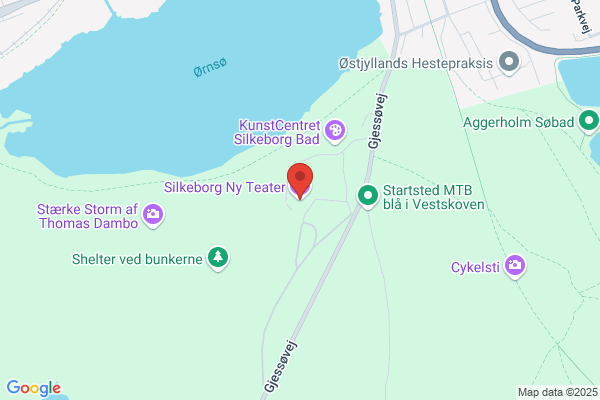 Ny Kjærsgård