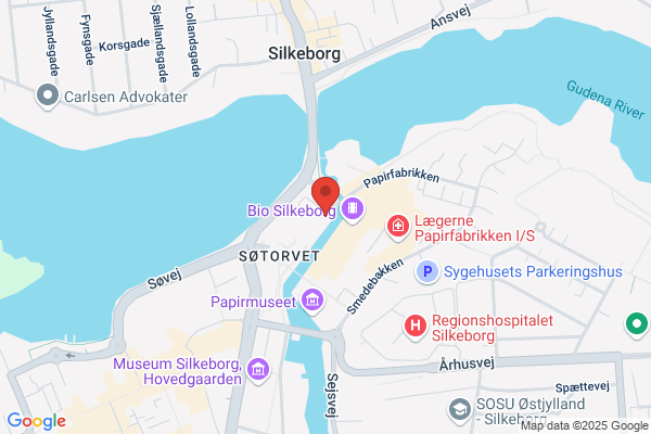 Baunehøj, Salon