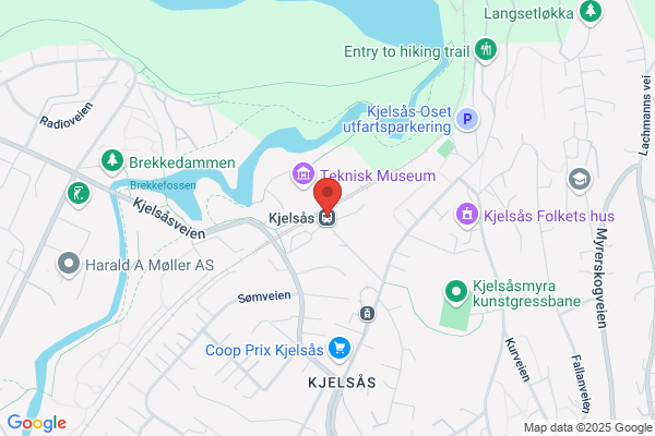 Kjelsbak, Viggo